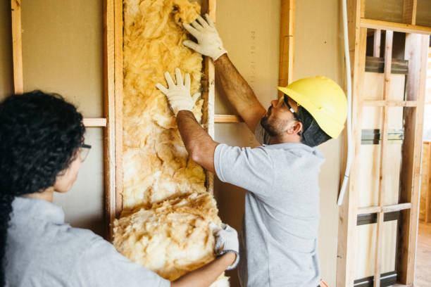 Trusted Defiance, OH Insulation Experts